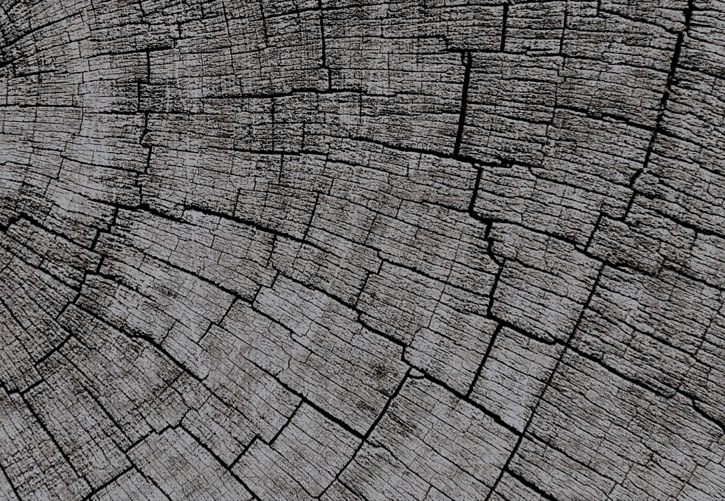 Панно и фотообои Glamora Creative Wallcovering GLCR024A