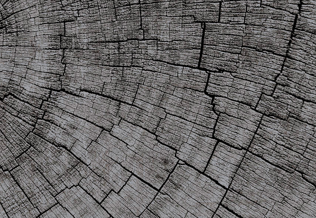 Панно и фотообои Glamora Creative Wallcovering GLCR024A