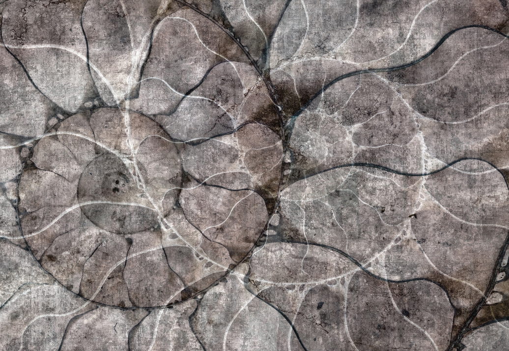Панно и фотообои Glamora Creative Wallcovering GLFO112A
