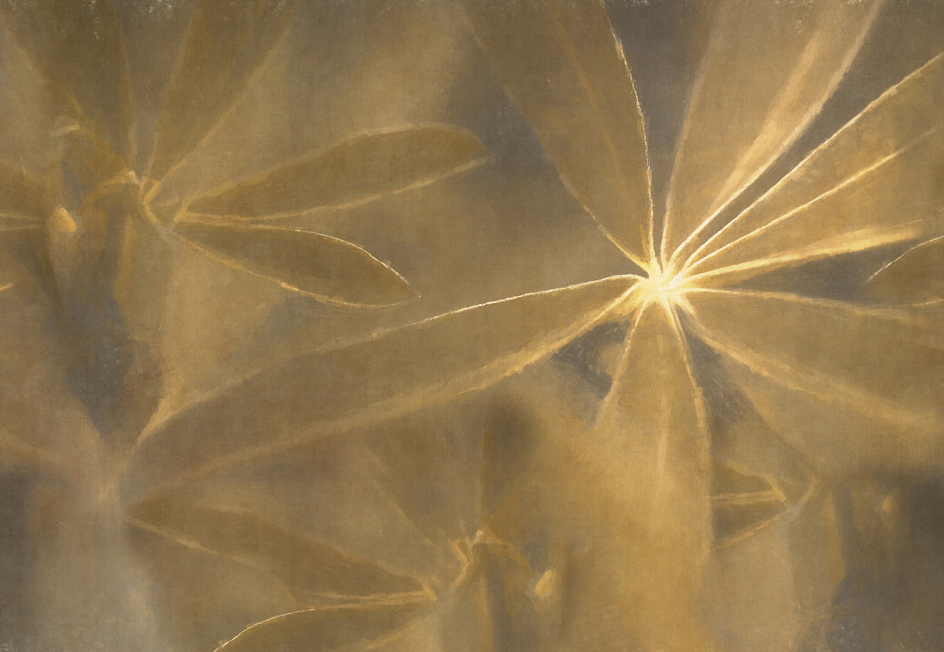 Панно и фотообои Glamora Creative Wallcovering GLNF162A