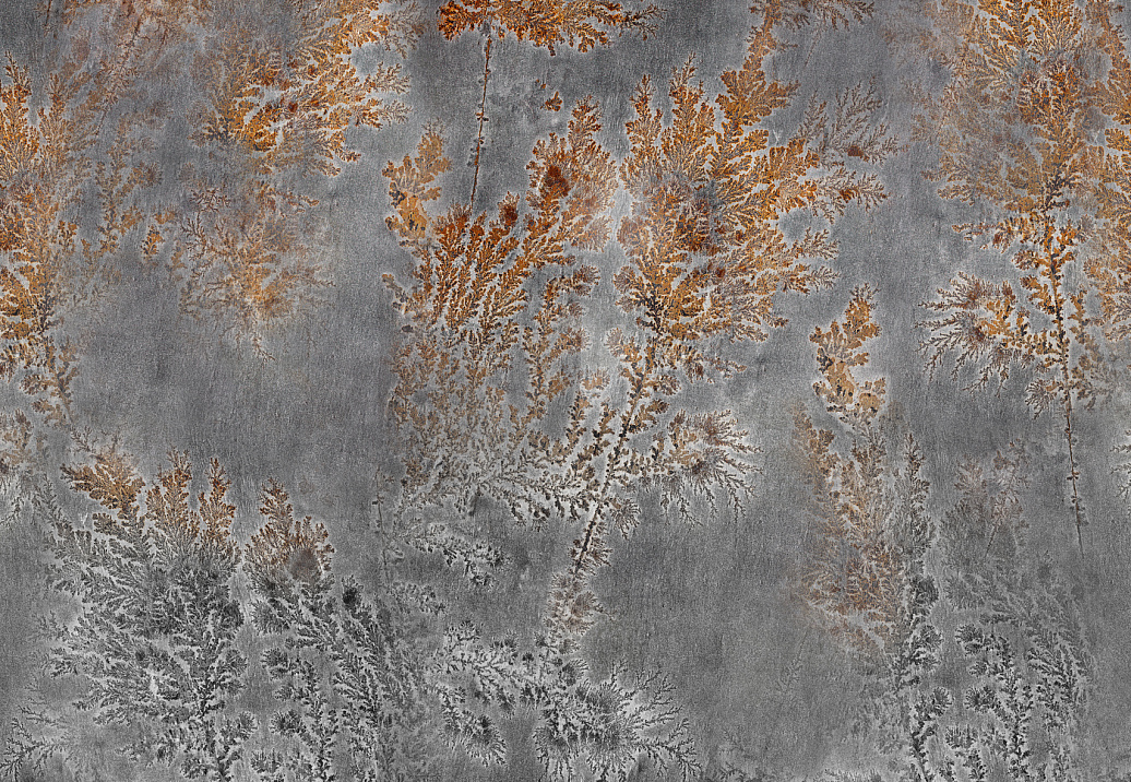 Панно и фотообои Glamora Creative Wallcovering GLFO122A