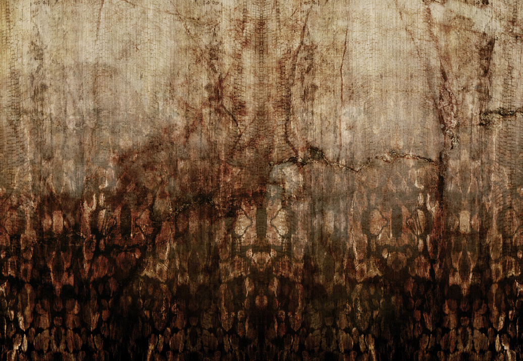 Панно и фотообои Glamora Creative Wallcovering GLEL102A