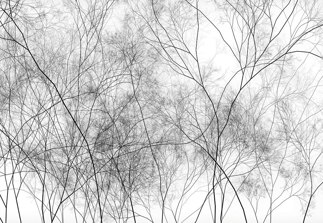 Панно и фотообои Glamora Creative Wallcovering HL121A