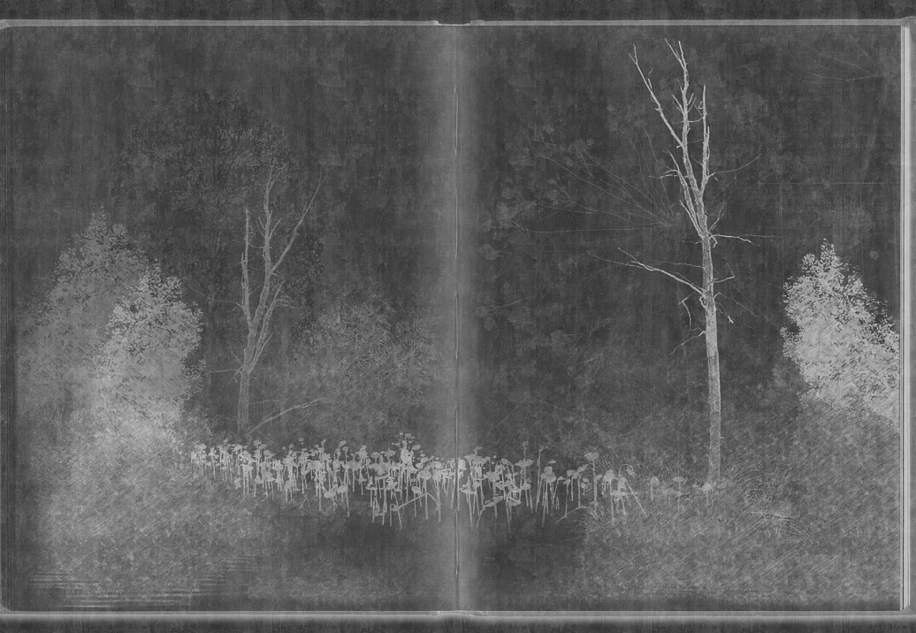 Панно и фотообои Glamora Creative Wallcovering GLAR202A