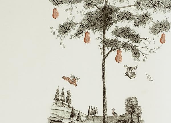 Обои Andrew Martin The Kit Kemp Pear Tree/Graphite