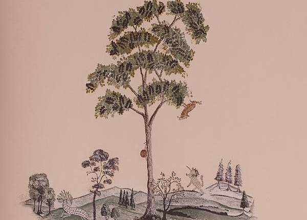 Обои Andrew Martin The Kit Kemp Pear Tree/Setting Plaster