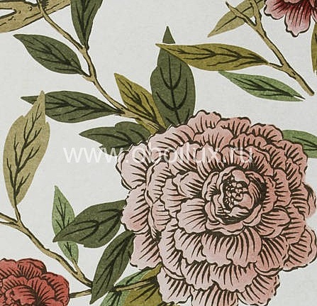 Обои Lewis & Wood Wide Width Wallpapers LW14545/China Rose Redoute