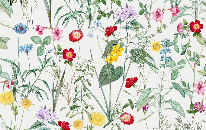 Российская ткань Серебрянная Студия (Silver Studio), коллекция Timeless Botanic, артикул D511/01/TW