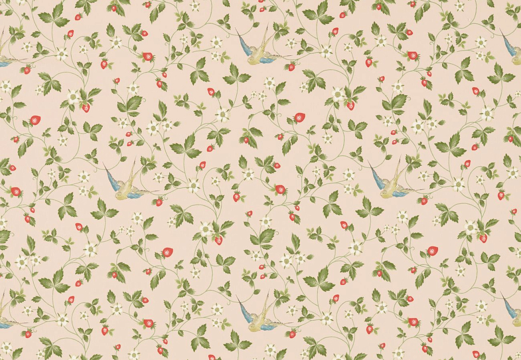 Ткань Clarke & Clarke Botanical Wonders F1606/01