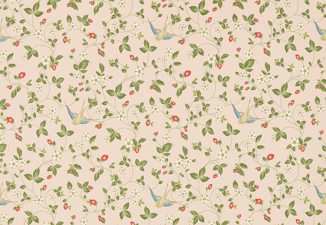 Ткань Clarke & Clarke Botanical Wonders F1606/01