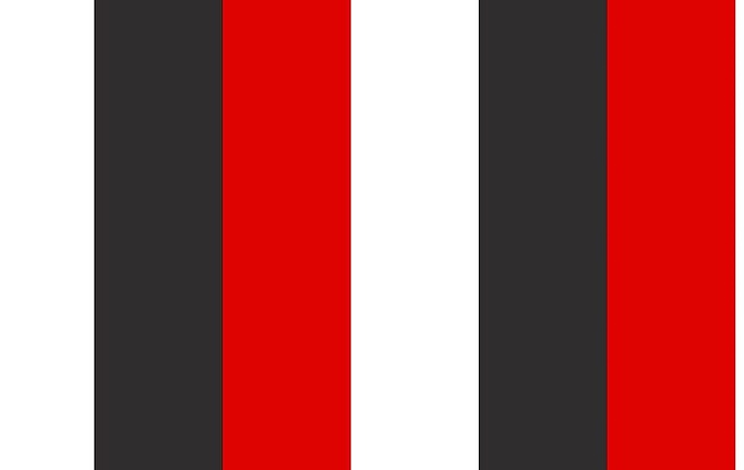 Бельгийская ткань Galleria Arben, коллекция Alicante, артикул PampaStripeGA/Red