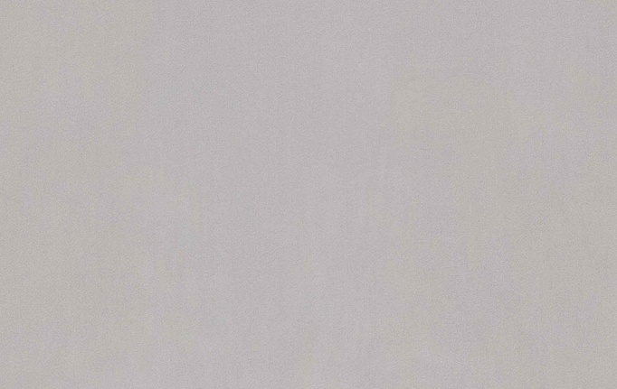 Английская ткань Zinc, коллекция Capsule, артикул Z695/03