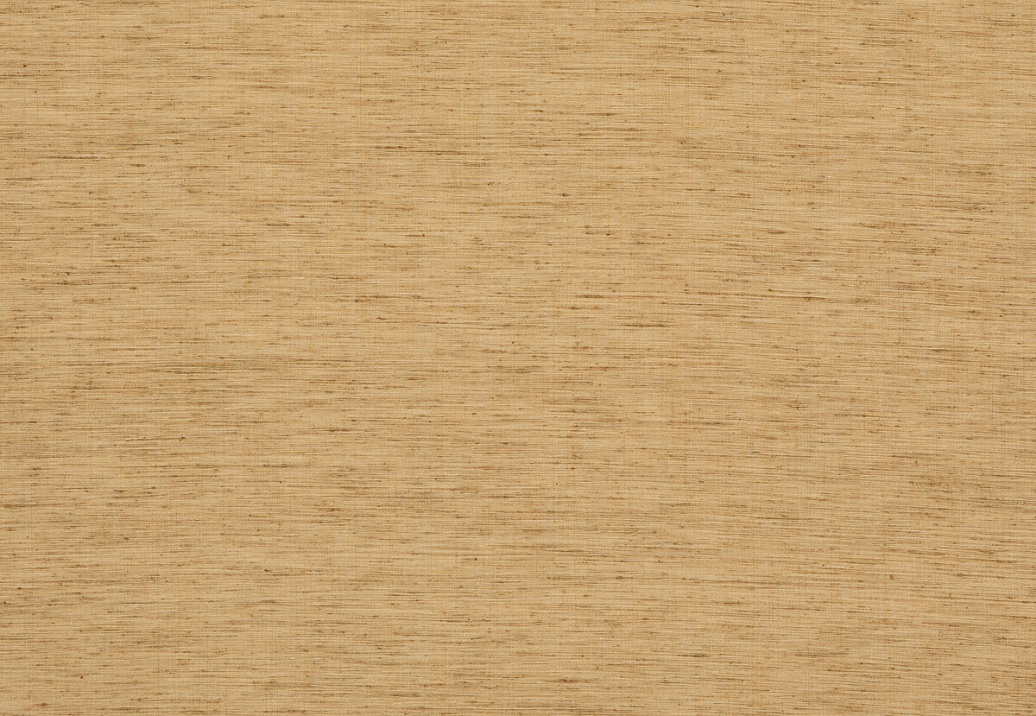 Ткань Baker Lifestyle Belgrave & Pavilion PF50477/840