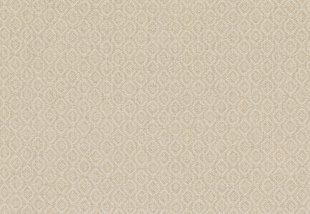 Ткань Baker Lifestyle Block Weaves PF50488/225