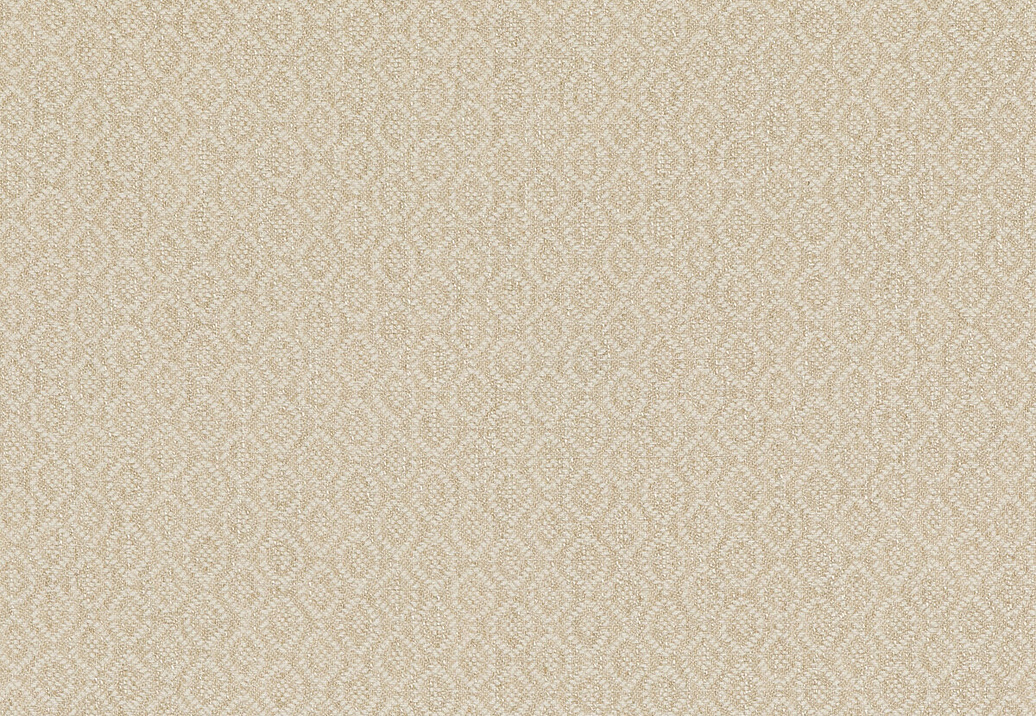 Ткань Baker Lifestyle Block Weaves PF50488/225