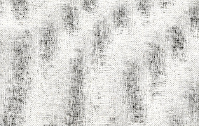 Бельгийская ткань Daylight, коллекция Hoku, артикул Kintana/Silver