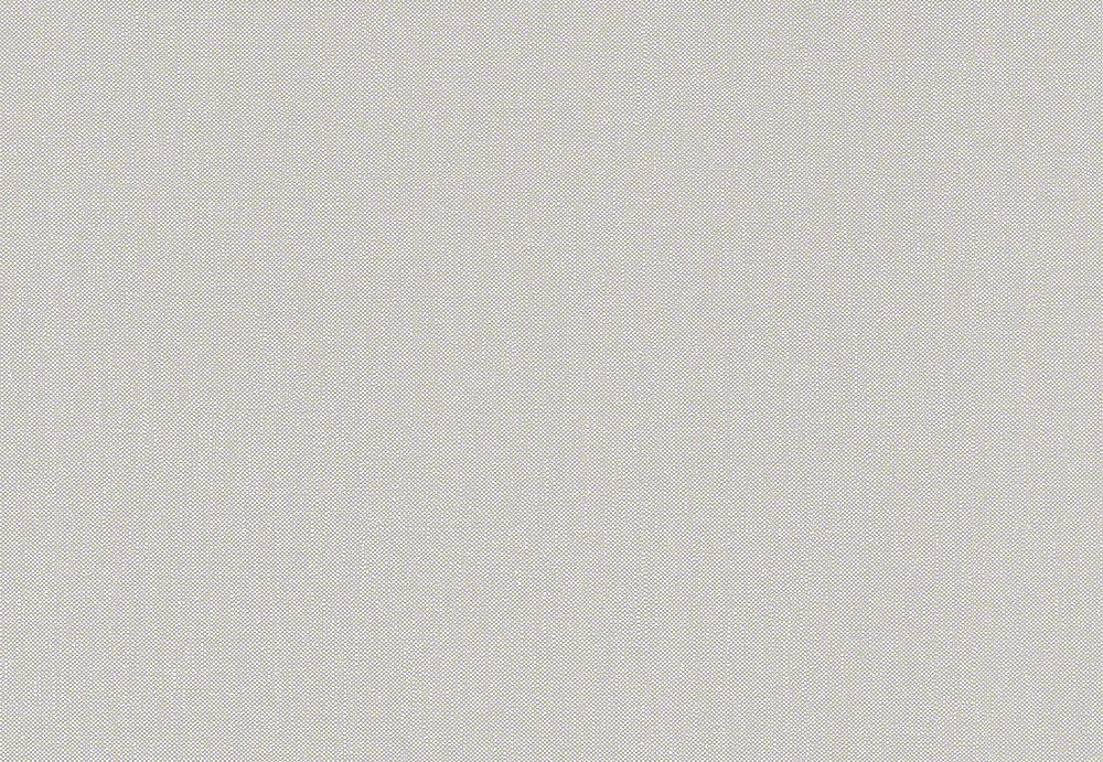 Обои A. S. Creation Elegance 3 293015