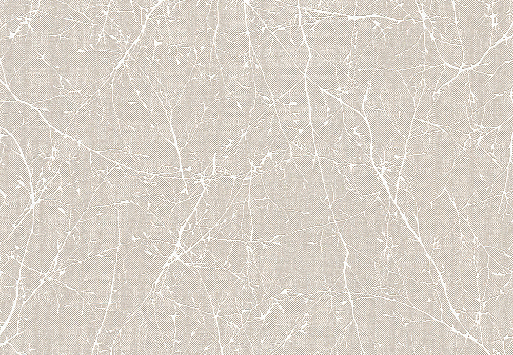 Обои A. S. Creation Elegance 3 305074