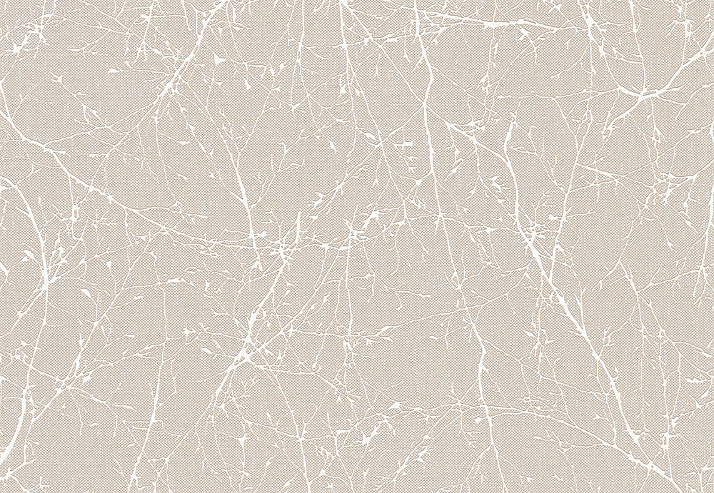 Обои A. S. Creation Elegance 3 305074