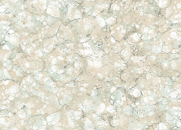 Обои Aura Texture Style TX34814
