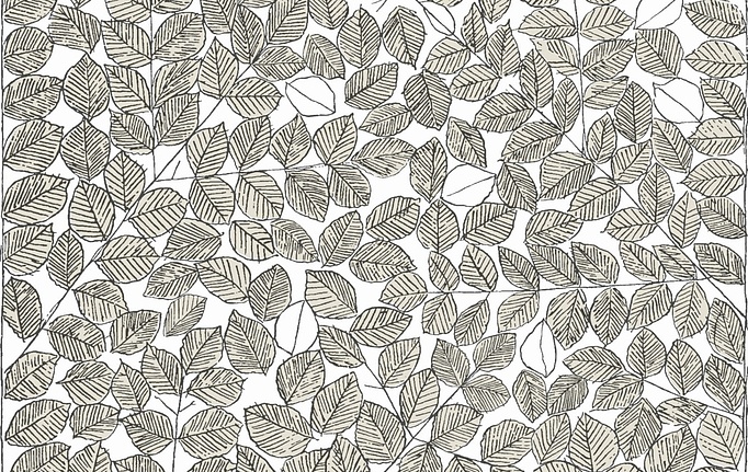 Шведские обои Borastapeter, коллекция Scandinavian Designers II, артикул 1768