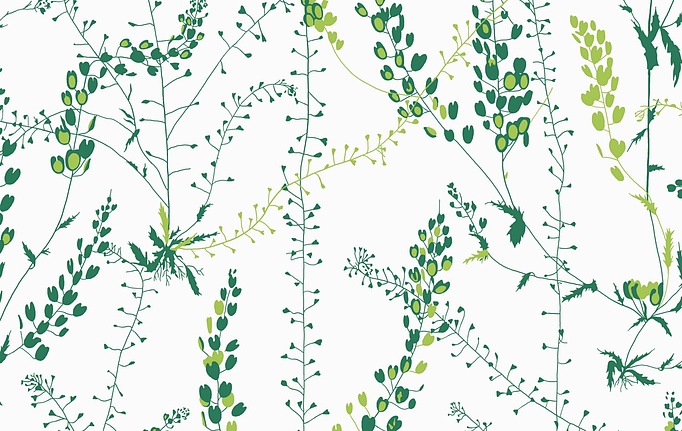 Шведские обои Borastapeter, коллекция Scandinavian Designers II, артикул 1787
