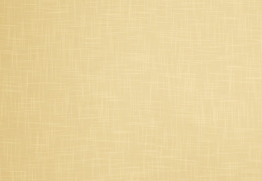 Ткань Fabricut Textured Sheers Vol.II Parchment Dunlap/Stone