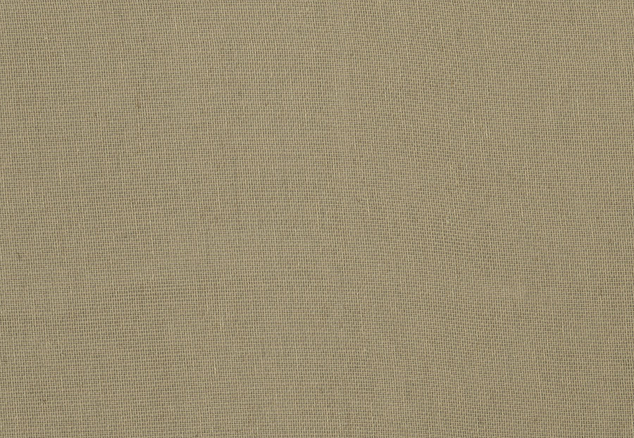 Ткань Fabricut Textured Sheers Vol.II Parchment Fervor/Gold