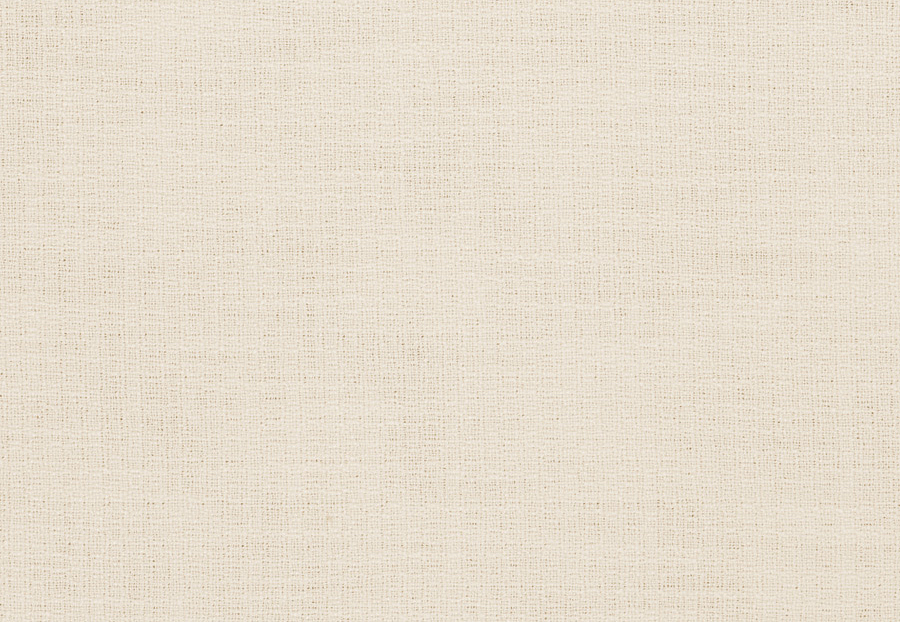 Ткань Fabricut Vignettes Vol.XIV Birch Clear thinking/Cream