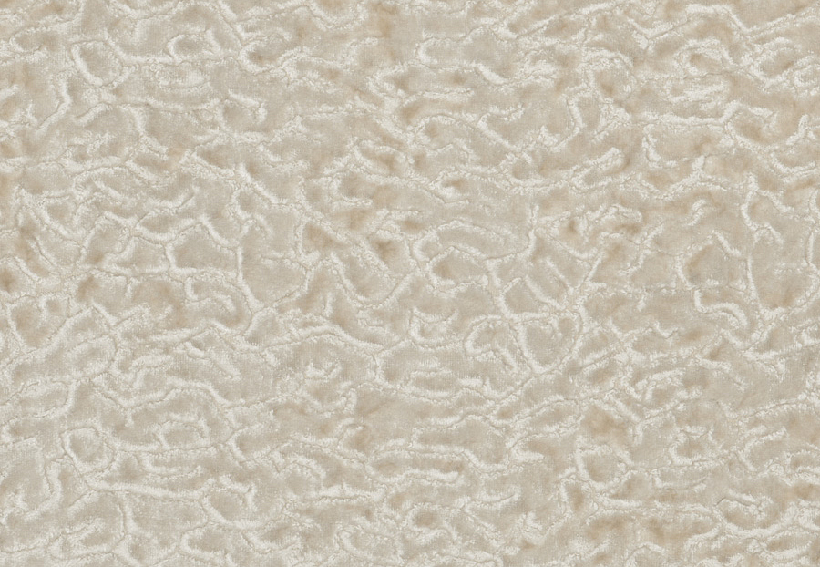 Ткань Fabricut Vignettes Vol.XIV Birch Pareto/Ivory