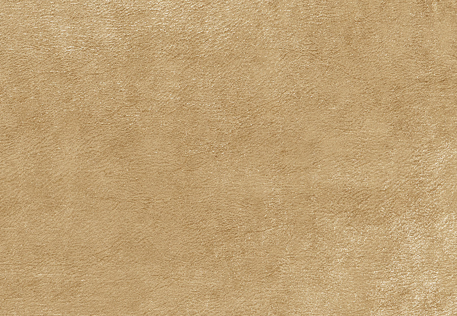 Ткань Fabricut Vignettes Vol.XIV Birch Polish velvet/Spun gold