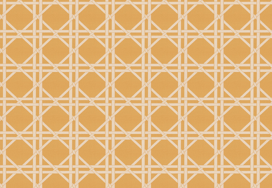 Ткань Fabricut Vignettes Vol.XIII Citrus Vlad lattice/Mimosa