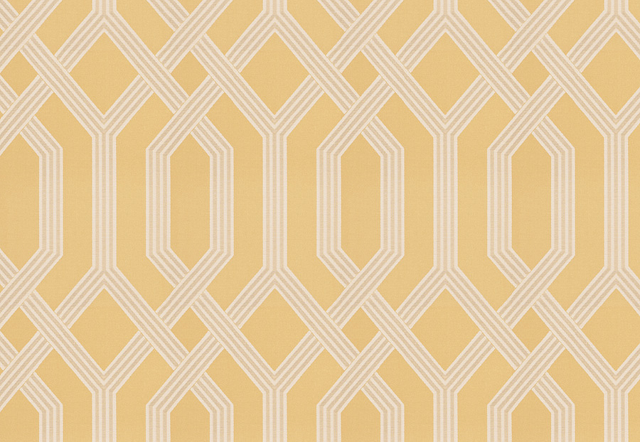Ткань Fabricut Vignettes Vol.XIII Citrus Oni/Sunglow