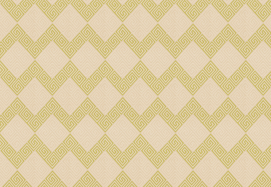 Ткань Fabricut Vignettes Vol.XIII Citrus Dominico/Citrine