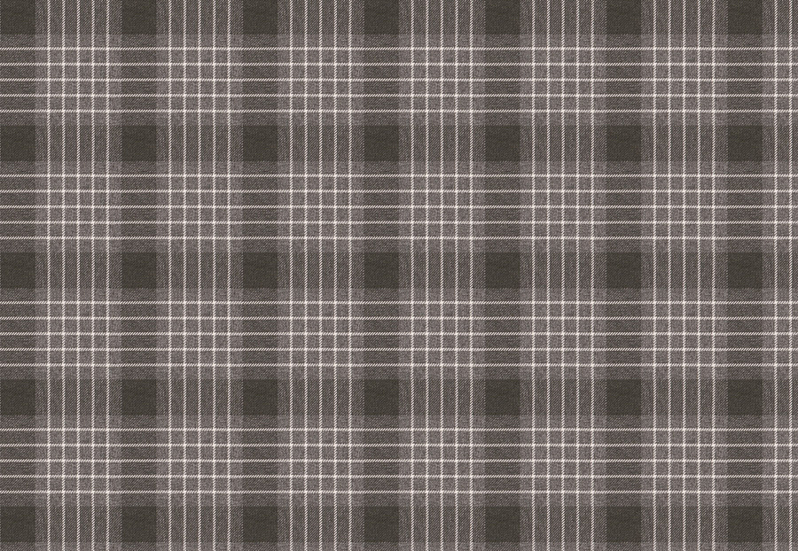Ткань Fabricut Vignettes Vol.XIII Platinum Jonatan/Pewter