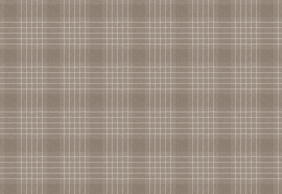 Ткань Fabricut Vignettes Vol.XIII Platinum Jonatan/Flannel