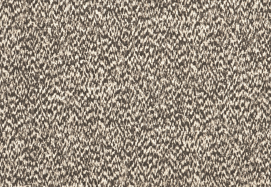 Ткань Fabricut Vignettes Vol.XIV Pewter Pansophy/Charcoal