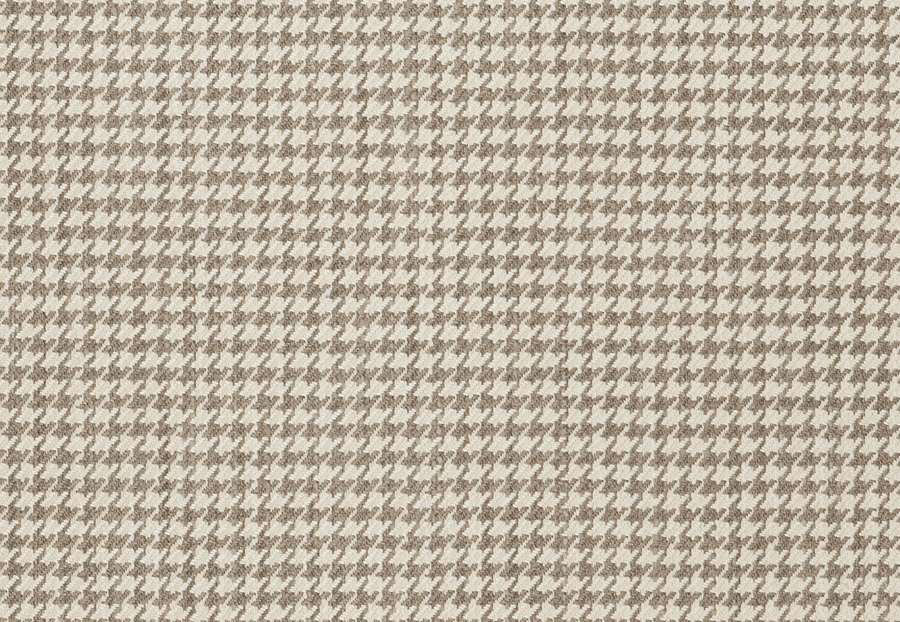 Ткань Fabricut Vignettes Vol.XIV Pewter Genius/Pearl grey