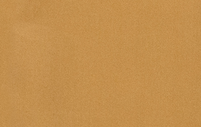 Американская ткань Fabricut, коллекция Classic Cotton Vol.IV Multipurpose, артикул Classic cotton/Caramel