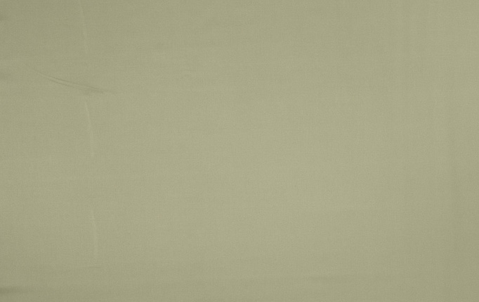 Американская ткань Fabricut, коллекция Classic Cotton Vol.IV Multipurpose, артикул Classic cotton/Leaf