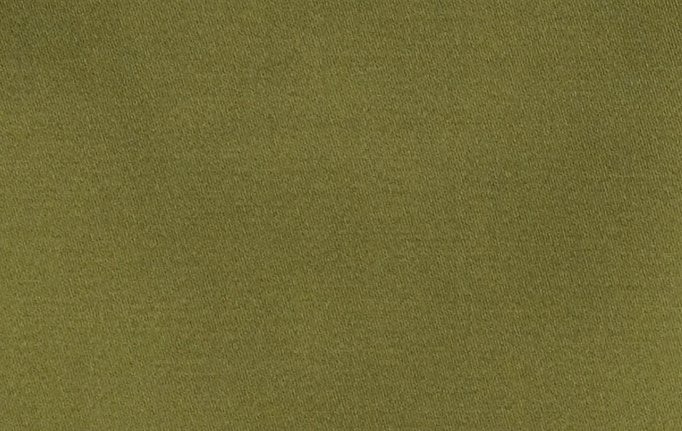 Американская ткань Fabricut, коллекция Classic Cotton Vol.IV Multipurpose, артикул Classic cotton/Turtle