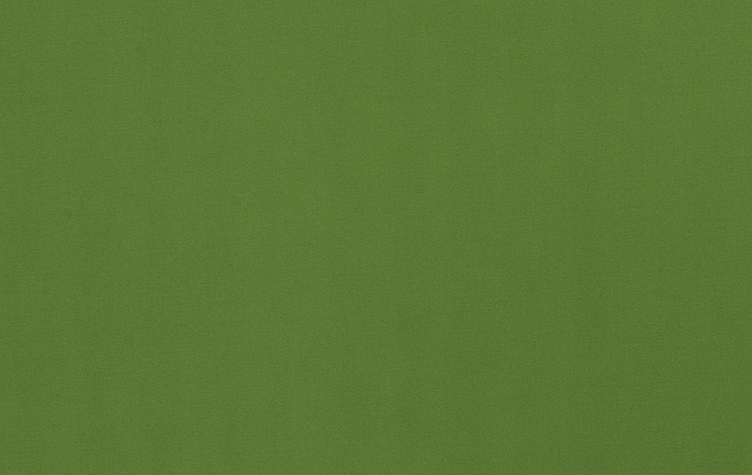 Американская ткань Fabricut, коллекция Classic Cotton Vol.IV Multipurpose, артикул Classic cotton/Rainforest
