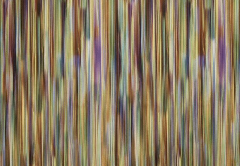 Ткань Fabricut Chromatics Vol.XXII Blossom Zrike/Plum