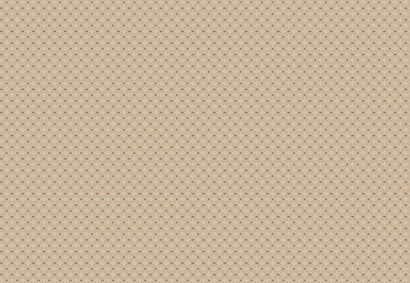 Ткань Fabricut Chromatics Vol.XXII Ivory Tradition/Parchment