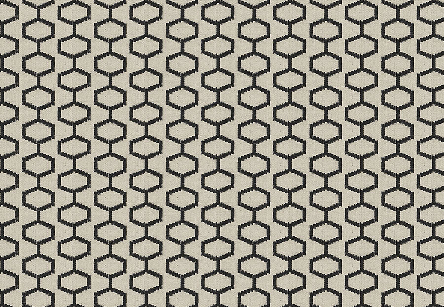 Ткань Fabricut Chromatics Vol.XXIII Charcoal Pascua/Black