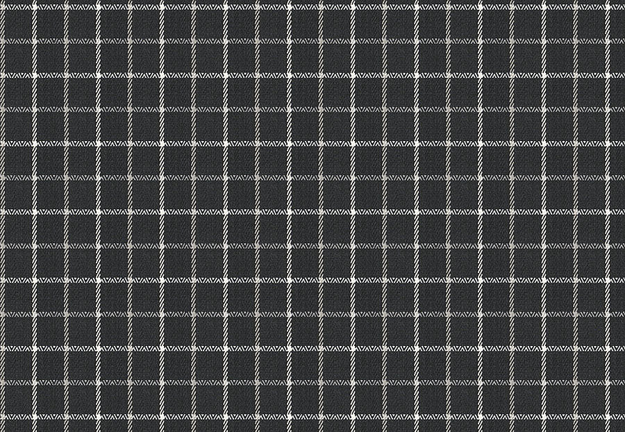Ткань Fabricut Chromatics Vol.XXIII Charcoal Anpan/Graphite
