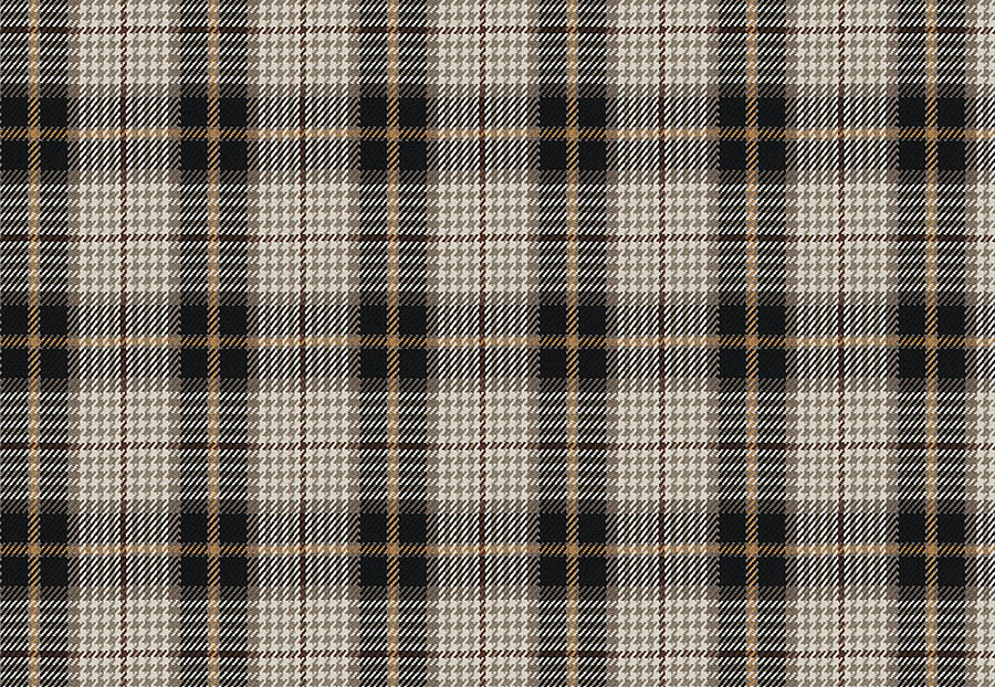 Ткань Fabricut Chromatics Vol.XXIII Charcoal Puran plaid/Coal