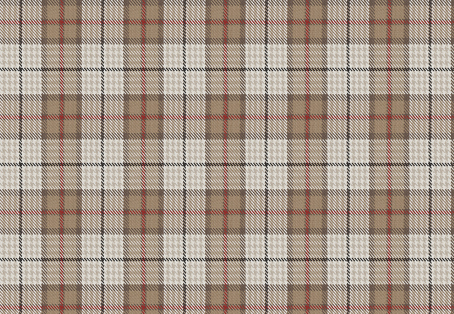 Ткань Fabricut Chromatics Vol.XXIII Sedona Puran plaid/Brick