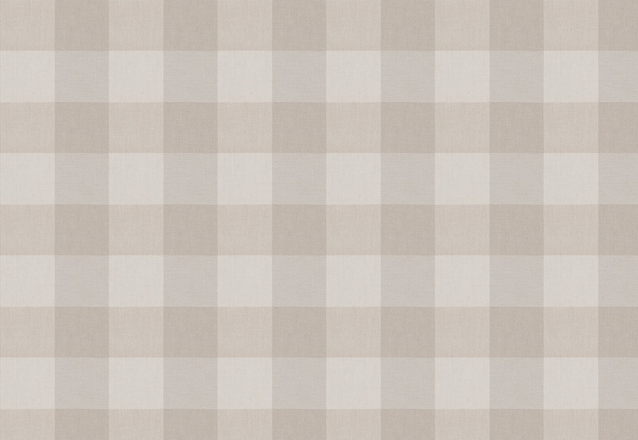 Ткань Fabricut Chromatics Vol.XXIV Pearl Turbo check/Dune