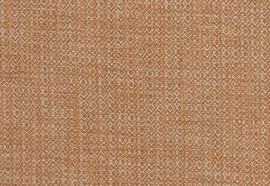 Ткань Fabricut Chromatics Vol.XXV Coral Palindrome/Yam